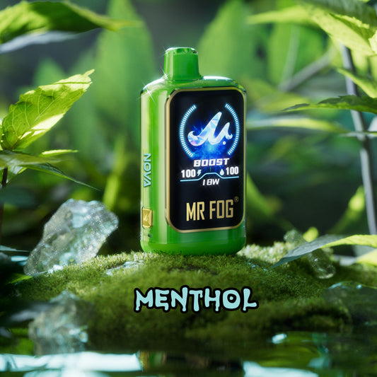 MR FOG NOVA - Mint Steezy Menthol