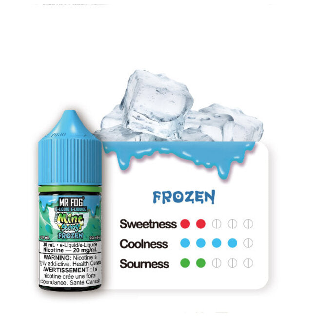 Mr Fog Salt Nic Mint Steezy - Frozen