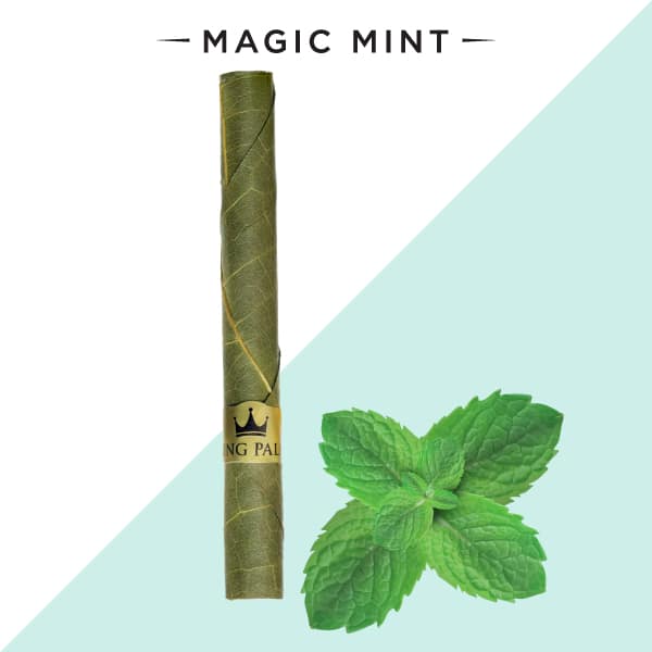 KING PALM MINI PRE-ROLL POUCH - 2 PER PACK - BlazenHaze